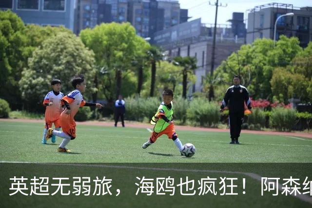 英超无弱旅，海鸥也疯狂！阿森纳3球惨败，拉亚成了远射背景板
